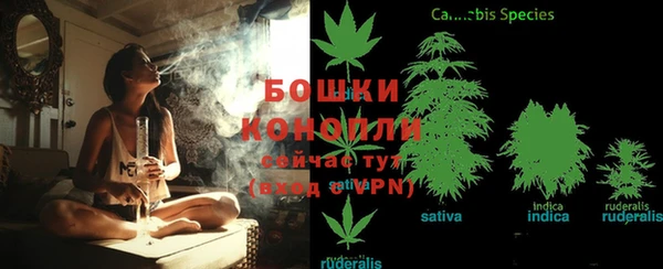 соль ск Новозыбков