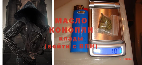 соль ск Новозыбков