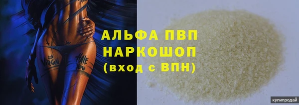 PSILOCYBIN Новодвинск