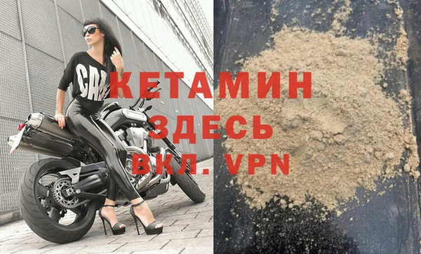 соль ск Новозыбков