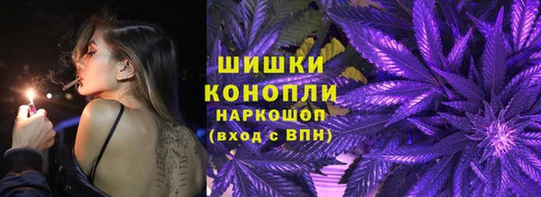 соль ск Новозыбков