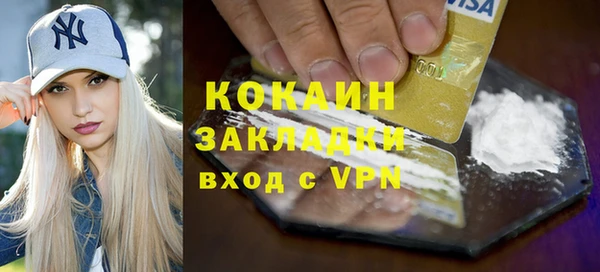 соль ск Новозыбков