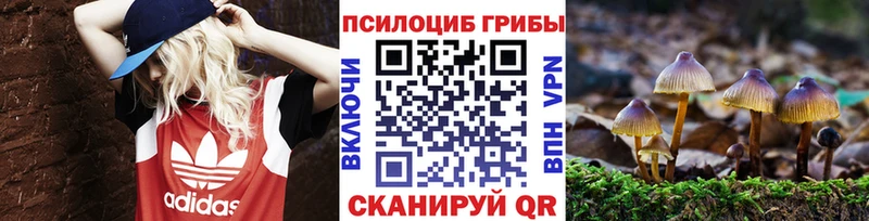Псилоцибиновые грибы Psilocybe  Комсомольск 